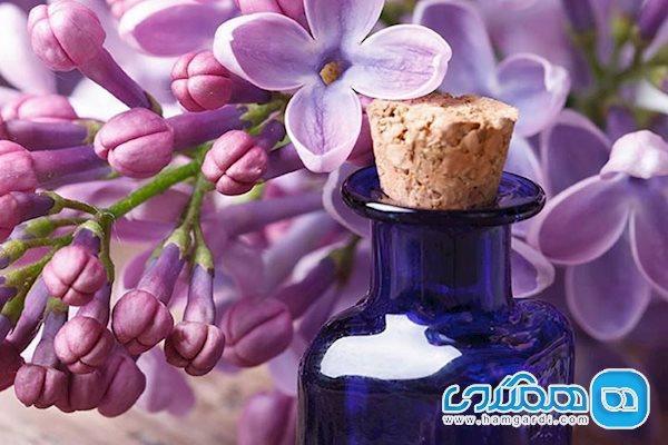 پادشاه روغن های گیاهی