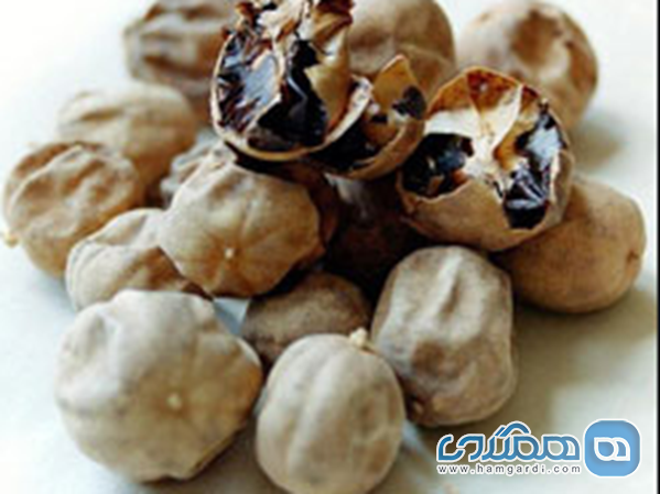 خوردن لیمو عمانی داخل غذا خطرناک است؟ خوردن لیمو عمانی داخل غذا خطرناک است؟