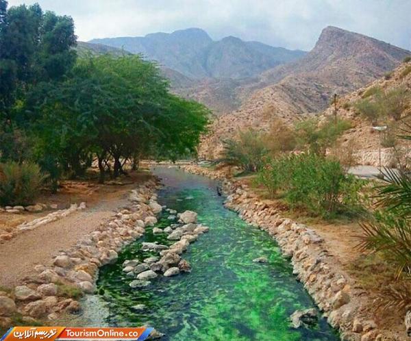 مگه داریم از این زلال تر؟، منطقه حفاظت شده گنو هرمزگان، مگه داریم از این زلال تر؟، منطقه حفاظت شده گنو هرمزگان، فیلم