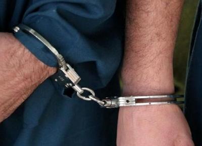 شرح پلیس درباره کتک زدن یک دختر در برازجان