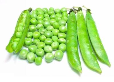خواص نخود فرنگی و برخی از عوارض جانبی مصرف آن
